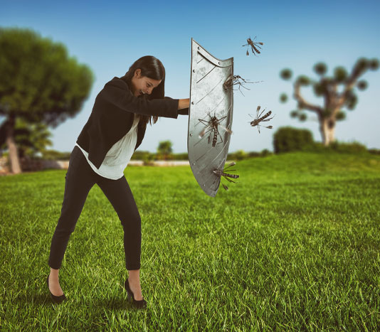 Insektenschutz Berlin