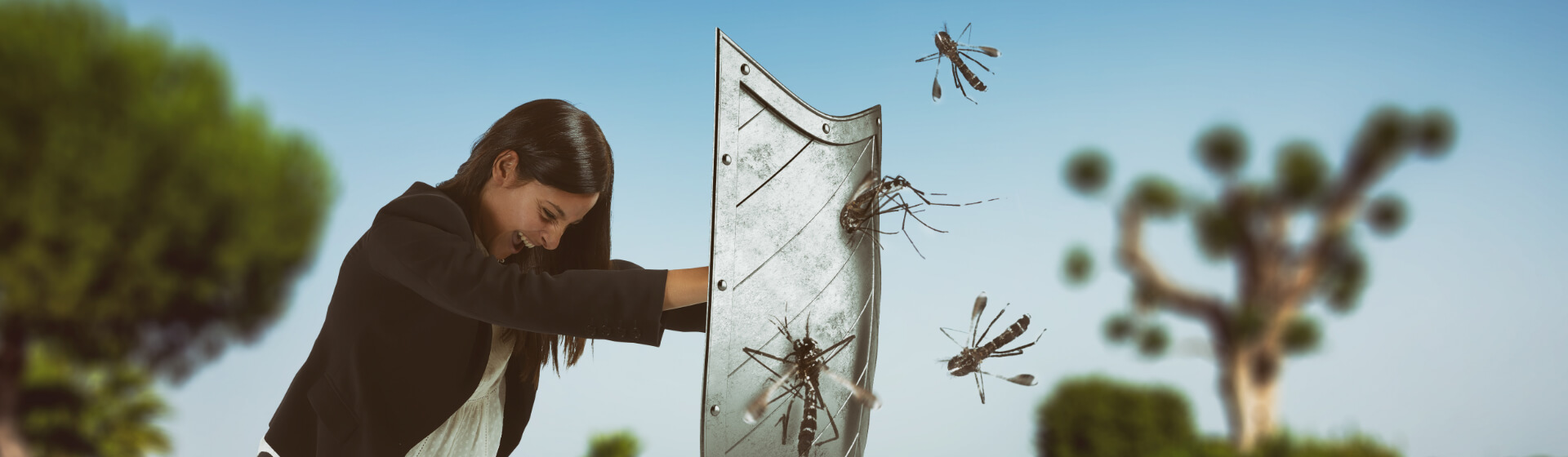 Insektenschutz Berlin